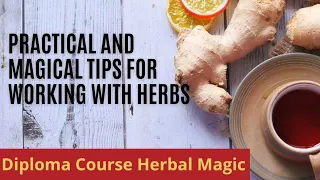 Practical and Magical Tips for Working with Herbs
