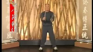 Ip Chun Performing the Baat Cham Dao form