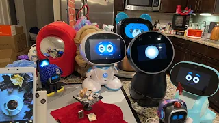 Jibo & Friends - Fun Day Livestream (Look Into The Future 🔮)