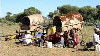 MADAGASCAR: piste de Fort Dauphin à Tulear