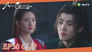 EP30 Clip | Qi created a fake death in order to uncover Wenyuan's plot！| 国子监来了个女弟子| ENG SUB