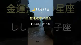 11月21日　金運上昇中✨蠍座魚座　♦注意　しし座双子座