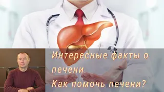 Интересные факты о печени. Как помочь печени?