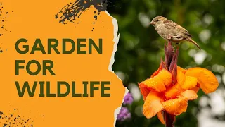 Gardening for biodiversity - why changing the rules is good news for garden lovers!