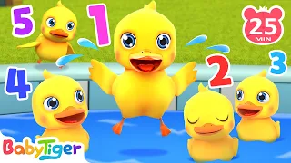 Quack Quack Little Ducks | Numbers Song + More Animal Songs & Nursery Rhymes - BabyTiger