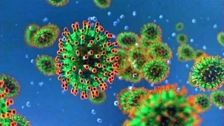 Killer Bug - SARS Coronavirus