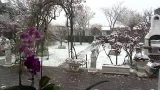 Bernard Trinh chante : "Tombe la neige" ! (Paroles en vietnamienne).