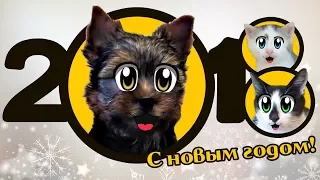 НОВОГОДНЯЯ НОЧЬ 2018! КОТ МАЛЫШ И КОШКА МУРКА ЖДУТ ПОДАРКИ ПОД ЁЛКОЙ! Игры с котами