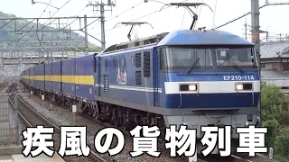 2022年8月27日撮影の疾風の貨物列車全36本　今回は島本駅と新大阪駅と京都駅で撮影！残暑の厳しい街に響き渡る大迫力のモーター音とジョイント音　TWILIGHT EXPRESS 瑞風も登場します！