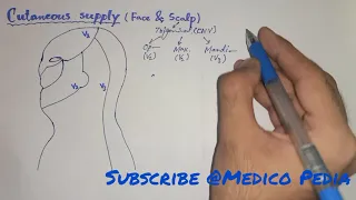 Draw Cutaneous / Sensory supply of face | Head & Neck Anatomy |