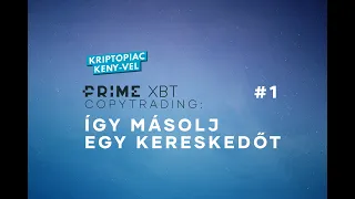 Így másolj egy kereskedőt - Kipróbáltuk a PrimeXBT copytrading szolgáltatását