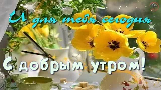 🔔💕 И для тебя сегодня С добрым утром! Солнечного дня! Красивая музыкальная открытка