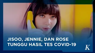 Lisa Blackpink Positif Covid-19