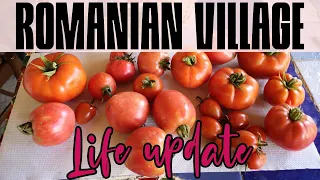 Romanian Village Life: End of Summer Update