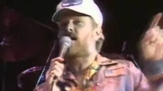 The Beach Boys - California Girls (From Good Timin' Live at Knebworth DVD)