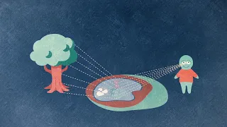 Light and Optics III: Light - Particle or Wave?