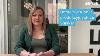 Dotacje na innowacje cyfrowe dla firm z województwa śląskiego