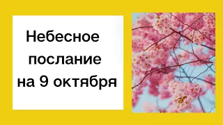 Небесное послание на 9 октября. Новые силы.