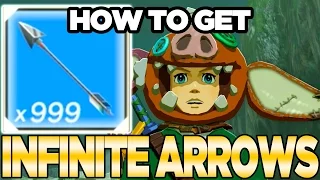 Infinite Arrows Farming Glitch *PATCHED* / Breath of the Wild | Austin John Plays