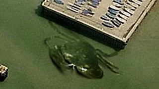 19 BIZARRE Things Found on Google Earth