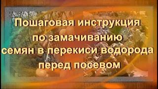 Пошаговая инструкция по замачиванию семян в перекиси водорода перед посевом