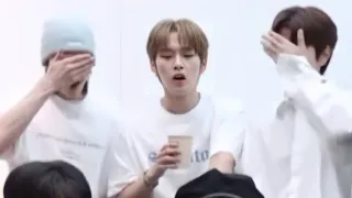 Stray Kids' reaction to Bang Chan's chest 😂