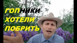 Зачем нужна борода и стоит ли брить бороду.