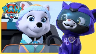 Skye and Rory Team Up & MORE 😸 🎨| PAW Patrol | Cartoons for Kids