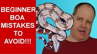 Don't Make These Beginner Pet Boa Constrictor Keeper Mistakes!