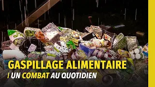 Les supermarchés face au fléau du gaspillage alimentaire