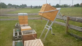 Bienenfluchten mit Zargenheber der Firma Jakel