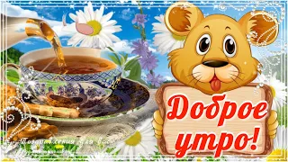 🌸☕️ Доброе Утро!  Пусть Вам Сегодня Повезет!🌸 Замечательного дня!🌸