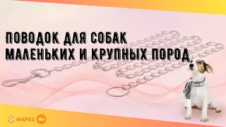 Поводок для собак маленьких и крупных пород