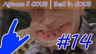 Лучшее в COUB [ #14 ] Best in Coub