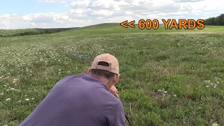 300 PRC vs 600 Yard Groundhog