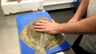 thomas court granary hotel fish preparation