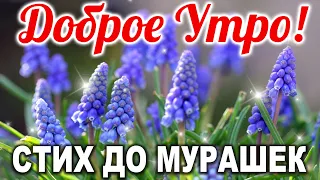 🌹ДО СЛЁЗ КАК ТРОГАТЕЛЬНО!🌹 ДОБРОЕ УТРО! С Добрым Утром! Музыкальная открытка | СТИХ О МАМЕ