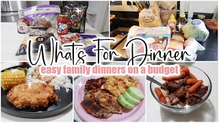 ✨WHATS FOR DINNER  Easy Family Budget Meal Ideas  Kelly's Korner