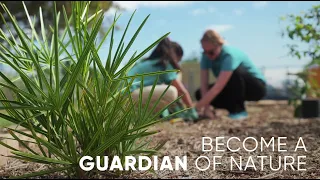 Become a guardian of nature! Learn to rewild with native plants