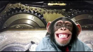 Что будет если ваш мотор соберет обезьяна? M271 Mercedes ГРМ