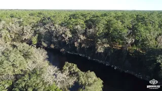 Suwannee River State Park: Where Ted Bundy's Final Victim, Kimberly Leach, was Found.