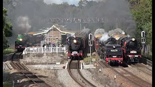 3801, 5917, 6029 and R766 four train parallel run. Maitland Steamfest 2023.