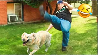 TRY NOT TO LAUGH 😆 Best Funny Videos Compilation 😂😁😆 Memes PART 24