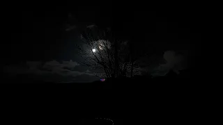 local moon light