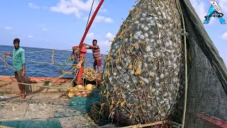 Amazing Giant Fish Fishing Skill in the River | @KadalTv