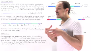 Exons and Introns of Eukaryotic mRNA