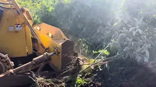 Komatsu D65, major landscaping, clearing bush and weeds with blade