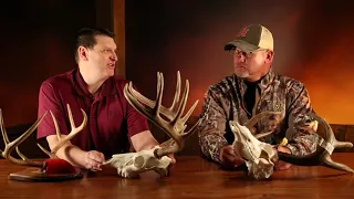 Field Judging Whitetail Deer - Bowhunter Basecamp