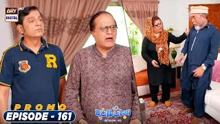 Bulbulay Season 2 Episode 161 | PROMO | ARY Digital Drama