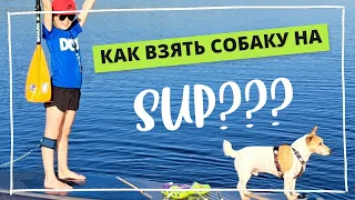 КАК ВЗЯТЬ СОБАКУ НА SUP!?  5 правил от Strong Dog